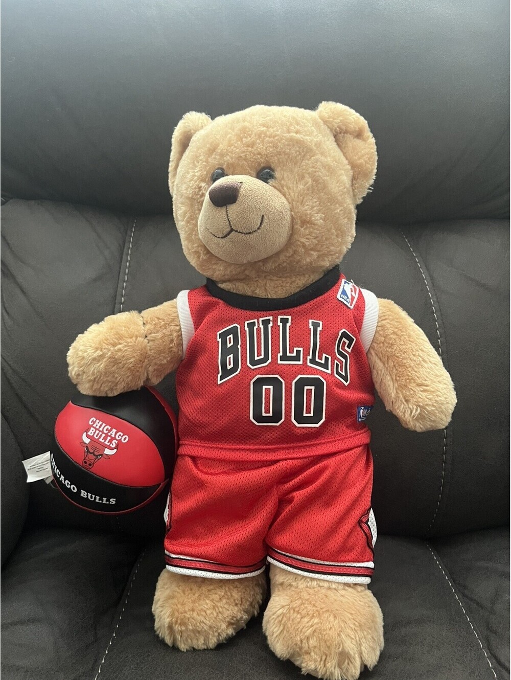 Build A Bear 16' Chicago Bulls NBA Teddy Bear 12/11